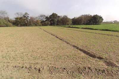 Jalalpur Jora, Uttar Pradesh 250401, India preview 2