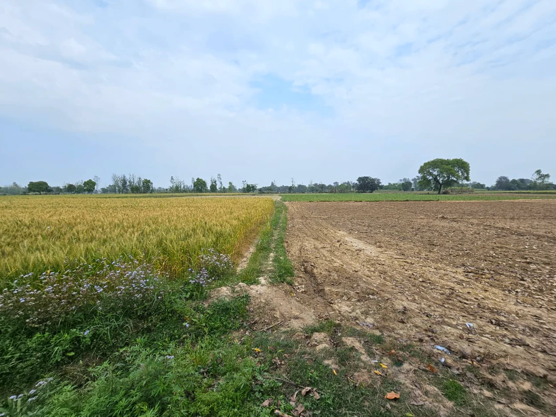 5Q3V+237, Nandrampur Bass, Haryana 123106, India