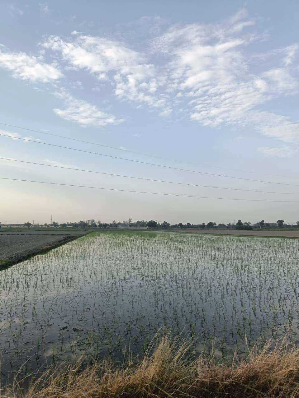 Sankhi, Uttar Pradesh 281401, India