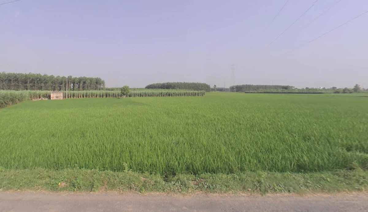 56M7+696, Yamuna Nagar, Haryana 133103, India