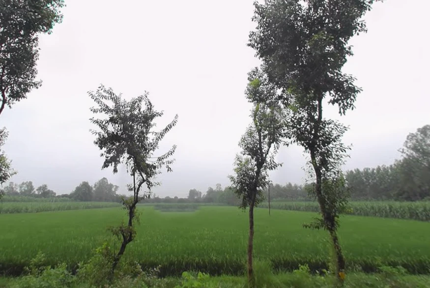 Mirzapur, Uttar Pradesh 247121, India
