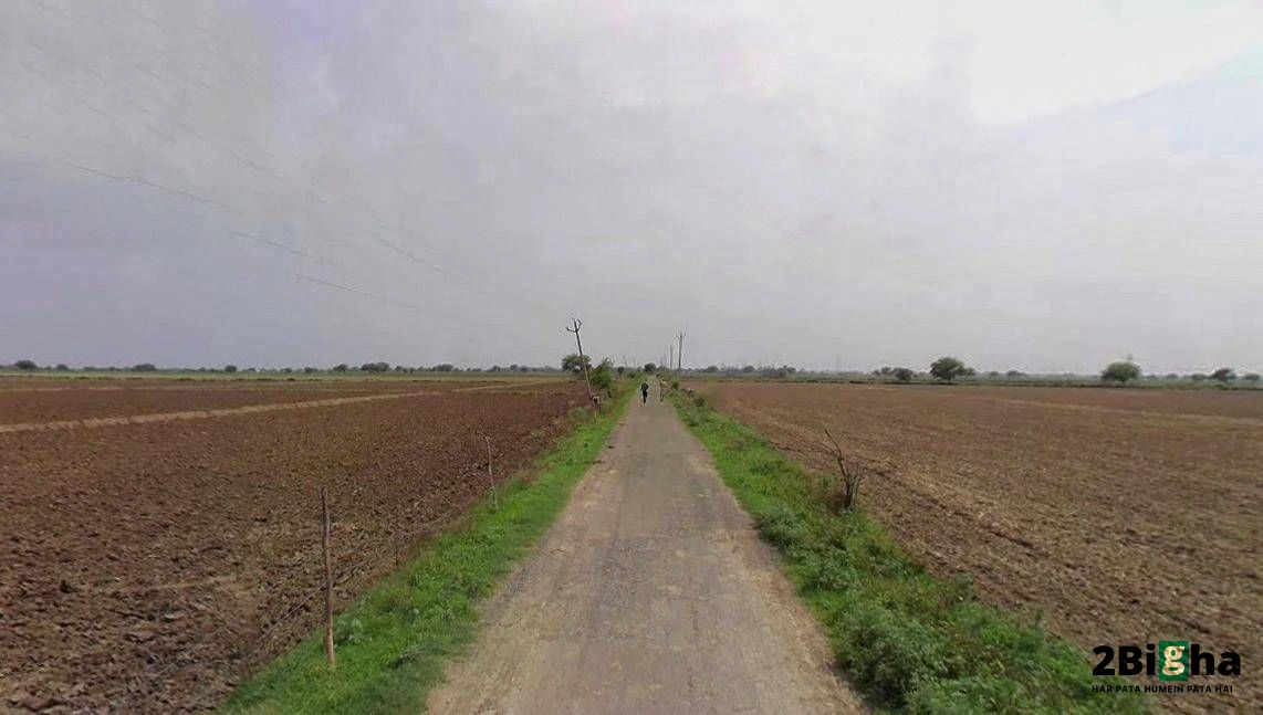 Jhajjar, Haryana 124103, India