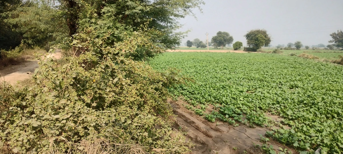 Deeg, Rajasthan 321203, India