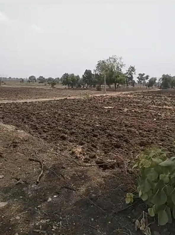 FXM9+F5V, Shahjahanpur, Gurugram, Haryana, India