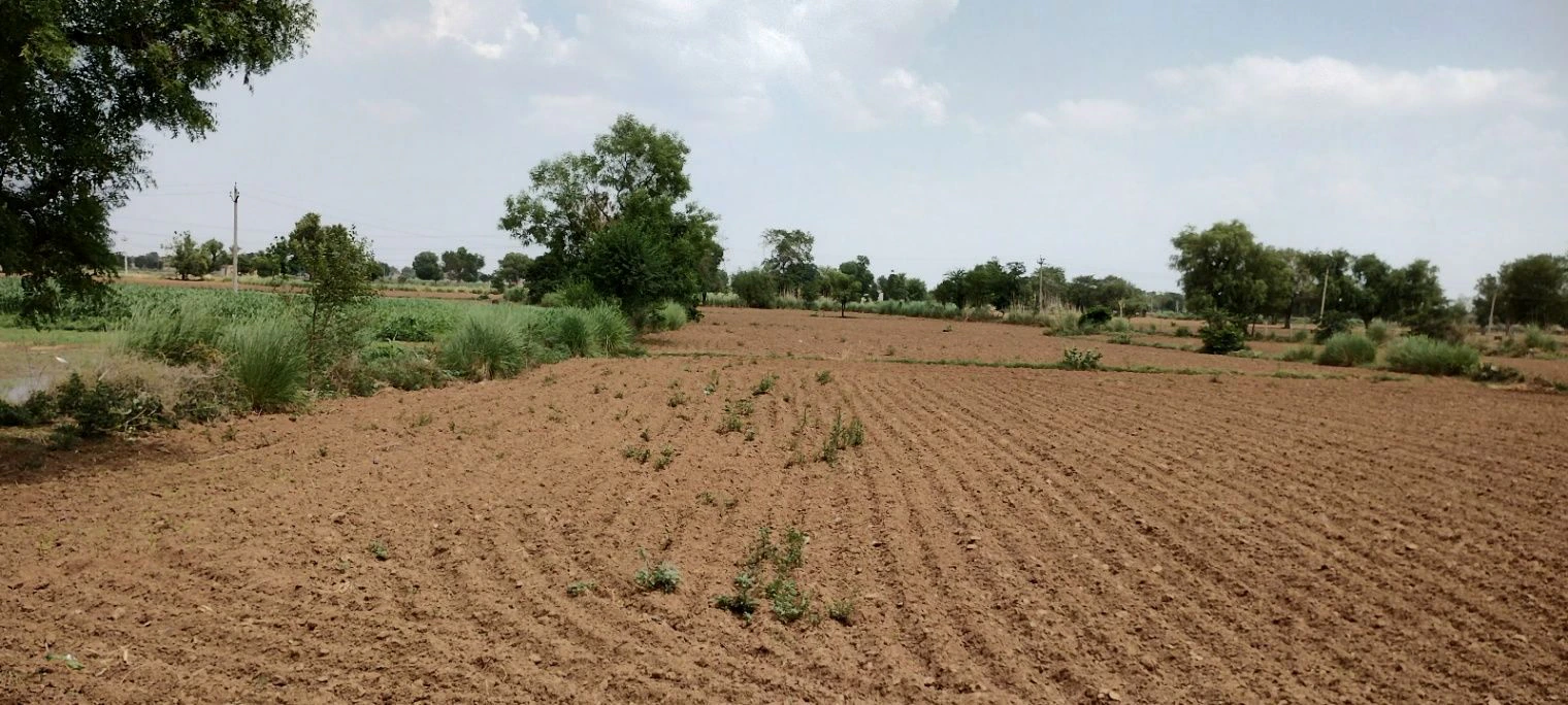 Ronpur, Rajasthan, India