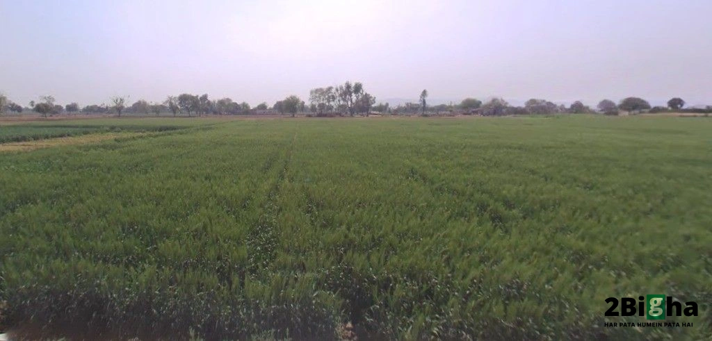 Beas Pind, Punjab, India