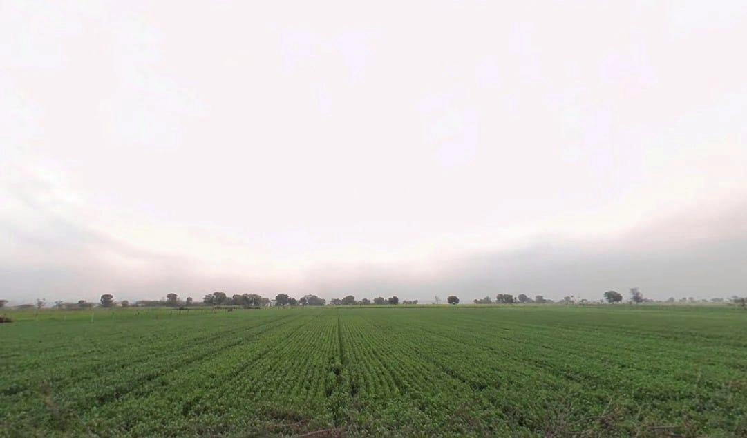 Tonk, Rajasthan 304001, India