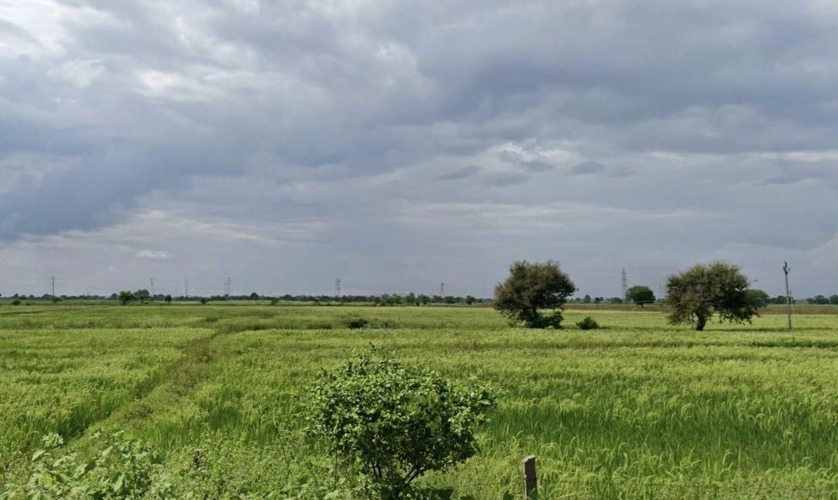 Rajoda, Madhya Pradesh 455001, India