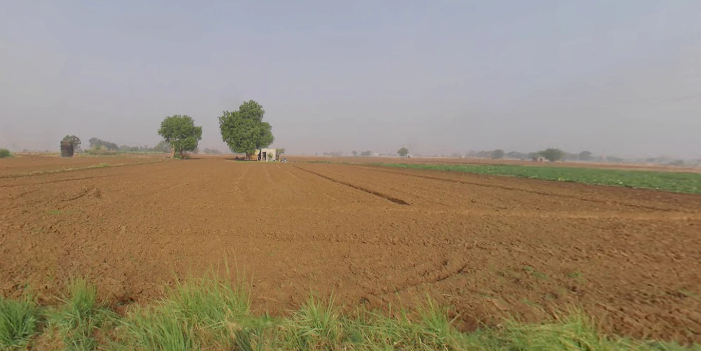 Shadipur, Julana, Haryana 126101, India