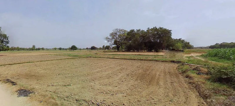 Ingoriya, Madhya Pradesh 456222, India preview 2