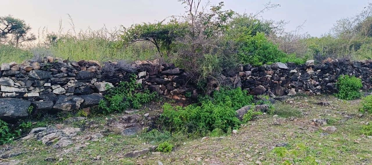 VQPH+QF Rabcha, Rajasthan, India