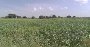 Kol, Uttar Pradesh, India preview 2