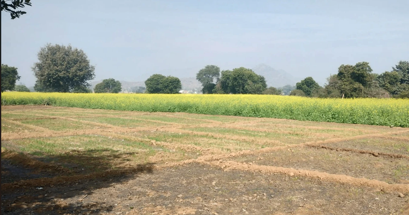 Jandiala, Punjab 143115, India