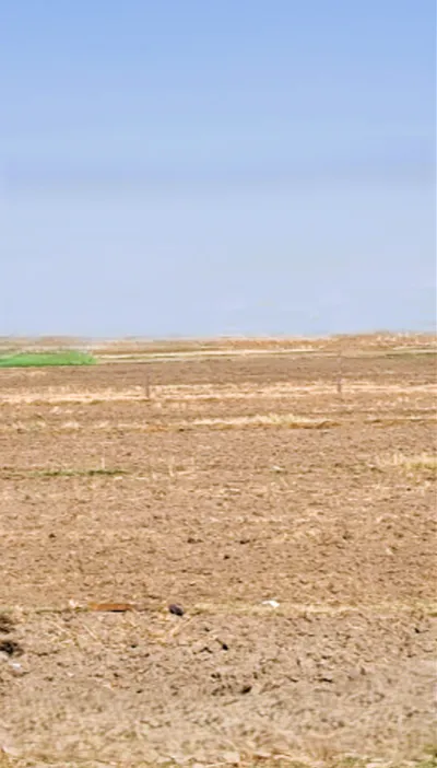 Rakshera, Haryana 132115, India preview 3