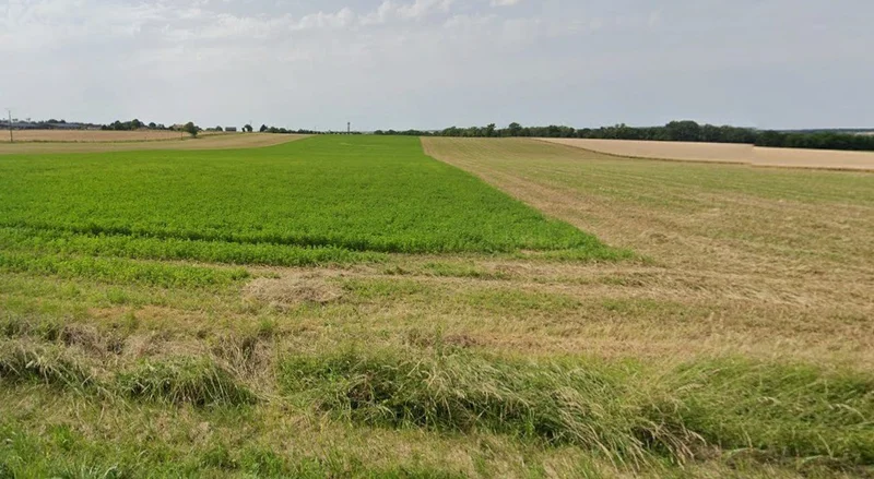 Mandideep, Bhopal, Madhya Pradesh 462046, India preview 2