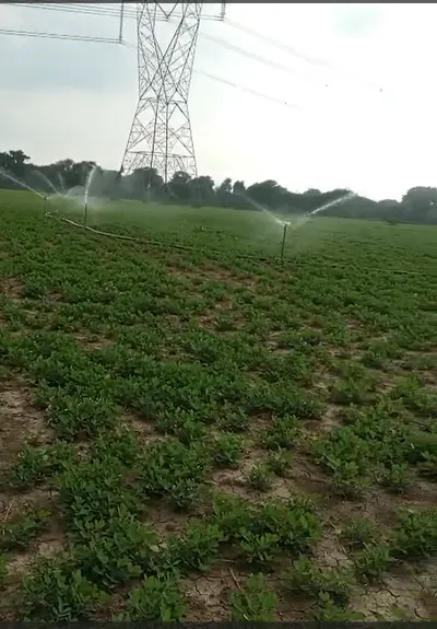 Khiri, Chhatarpur, Madhya Pradesh 471411, India preview 2