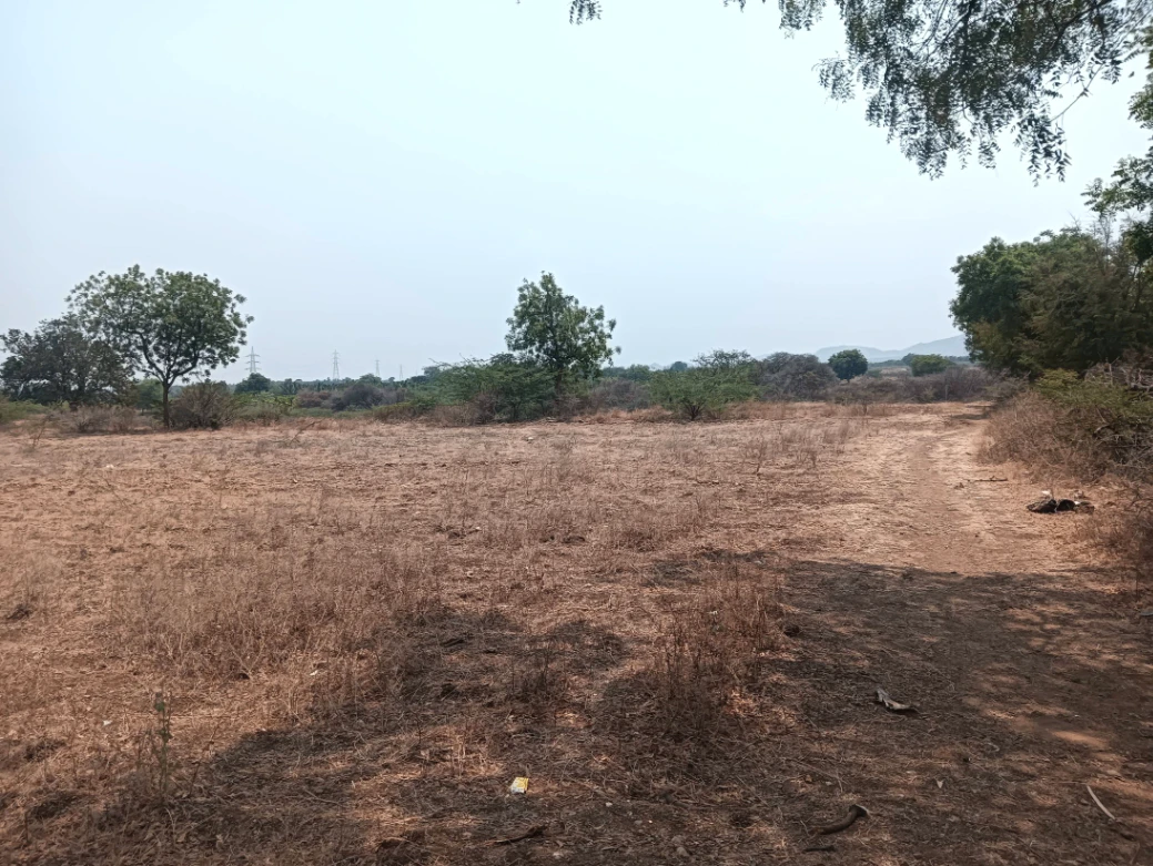 Hiriyur, Karnataka, India