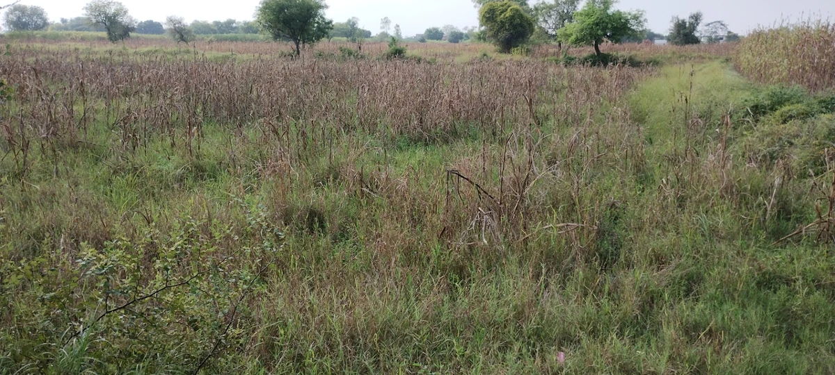 Nagla Faujdar, Rajasthan 321203, India