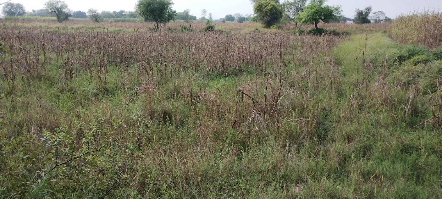 Nagla Faujdar, Rajasthan 321203, India