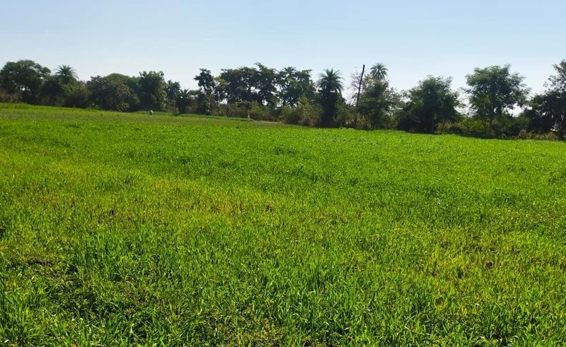 Suthaliya, Madhya Pradesh 465677, India preview 2