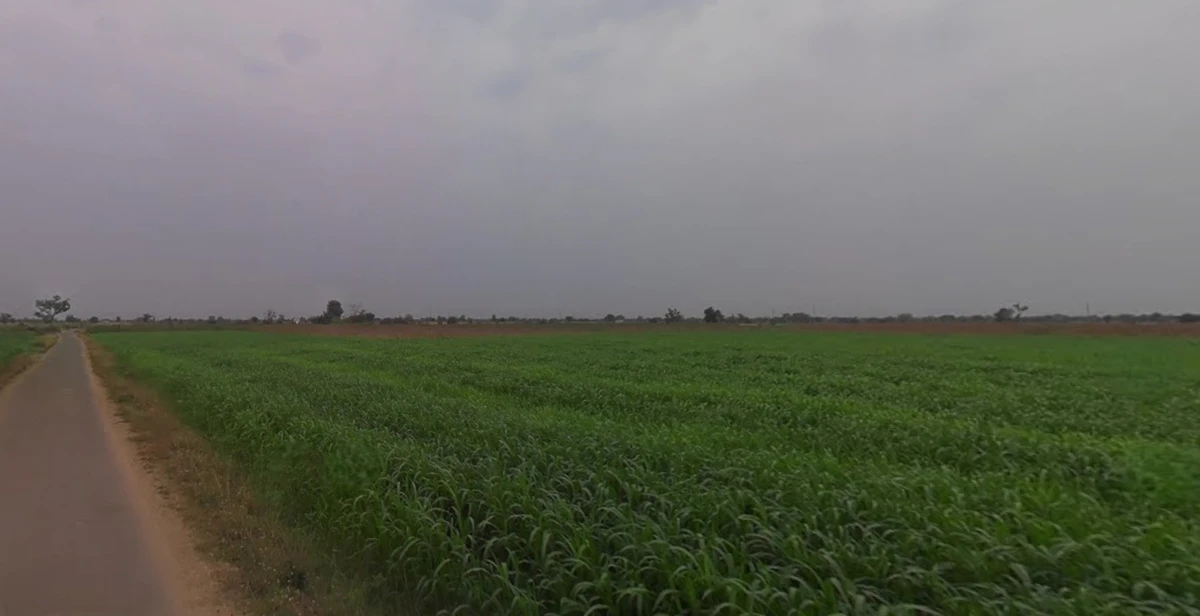 F4HC+WH Dethli, Gujarat, India