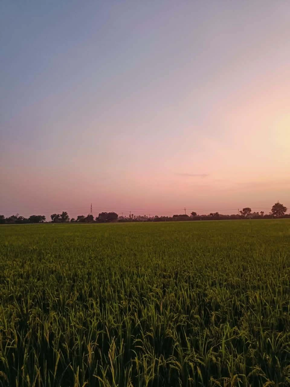 Bukharari, Mathura, Uttar Pradesh, India