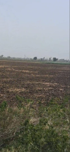Khatoo, Rajasthan 332602, India