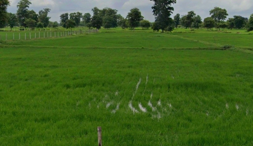 Dahdjara, Chhattisgarh 491993, India