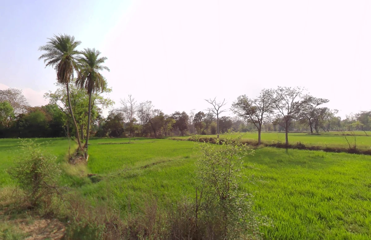 Gukhera, Chhattisgarh 493441, India