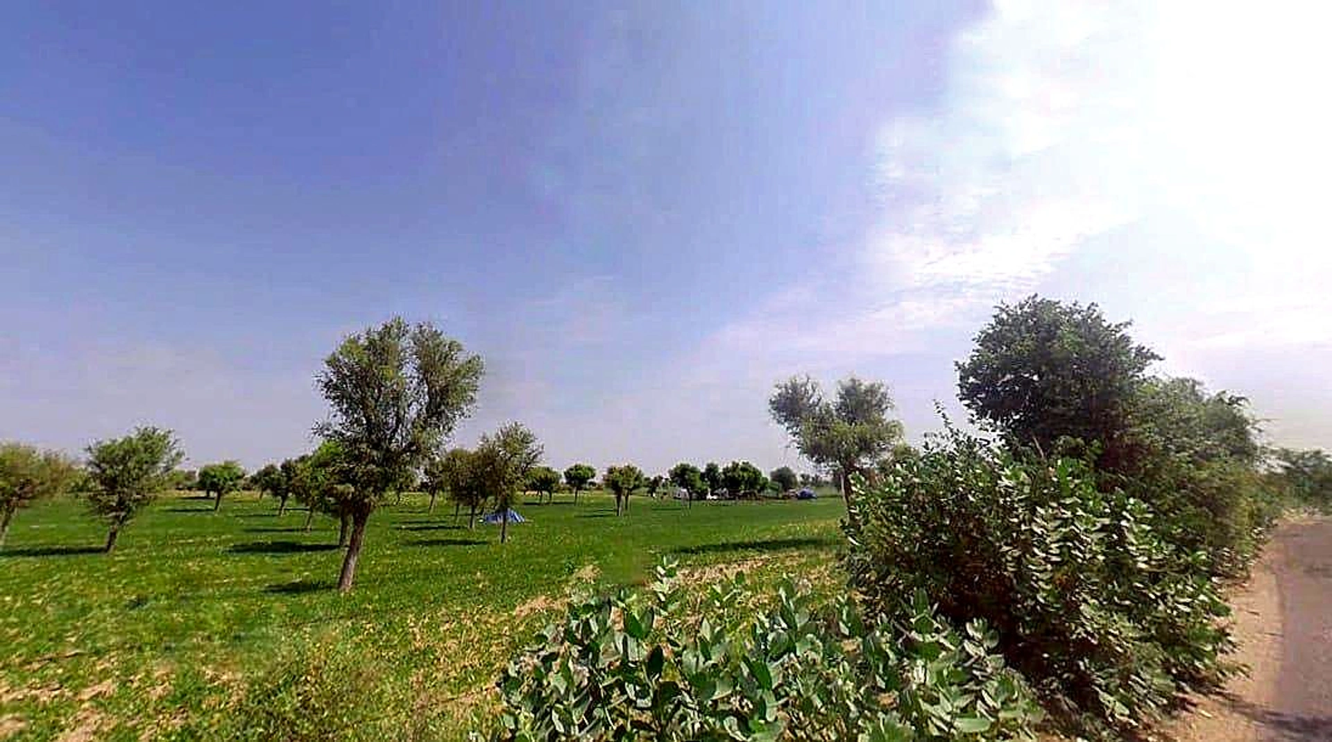 Punrasar, Rajasthan 331811, India