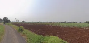 Rampura, Gujarat 382140, India preview 2