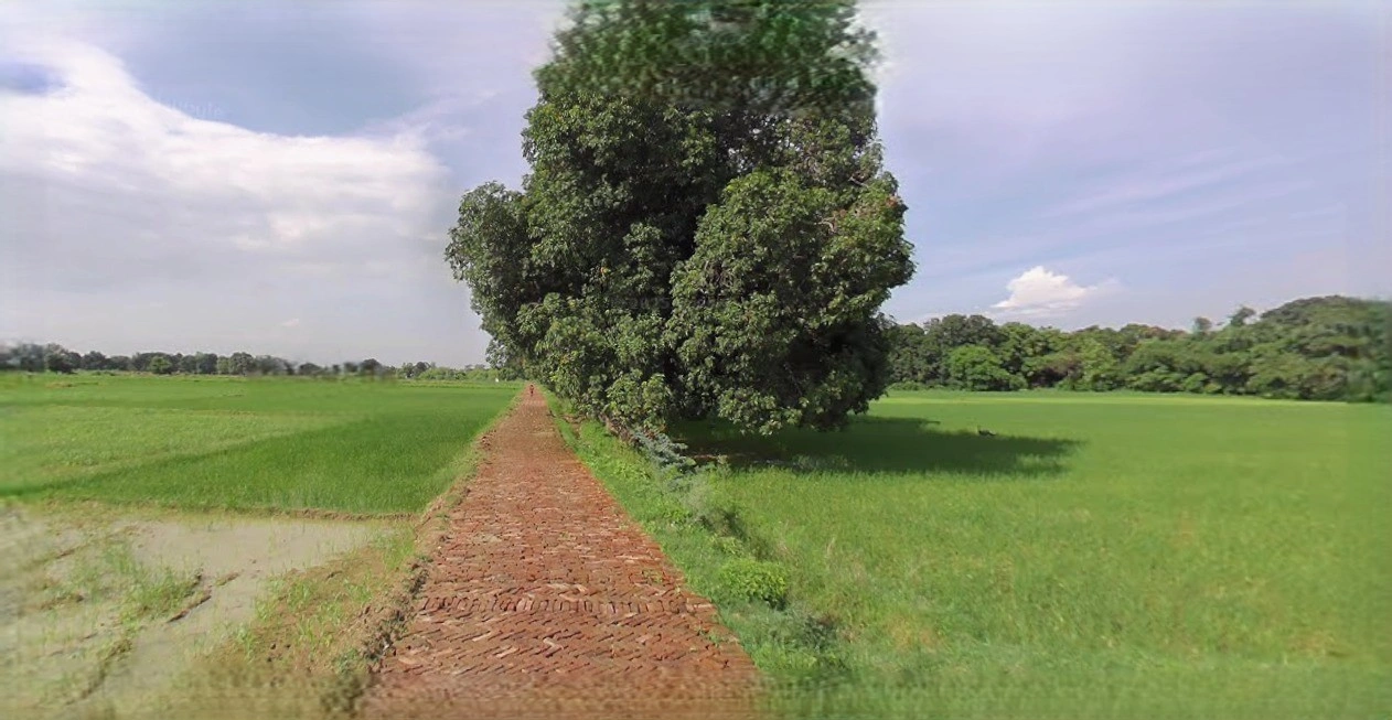 Suratgarh, Rajasthan 335804, India