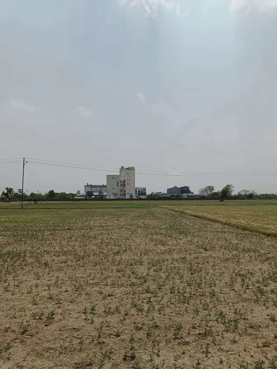 Gharwari, Rajasthan 321201, India