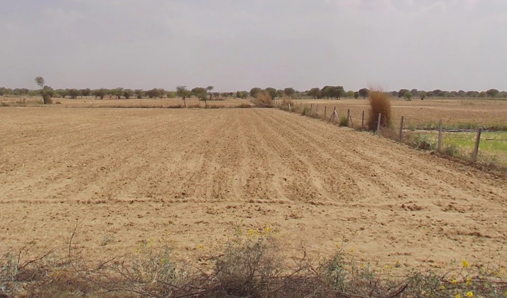 Salera, Rajasthan, India