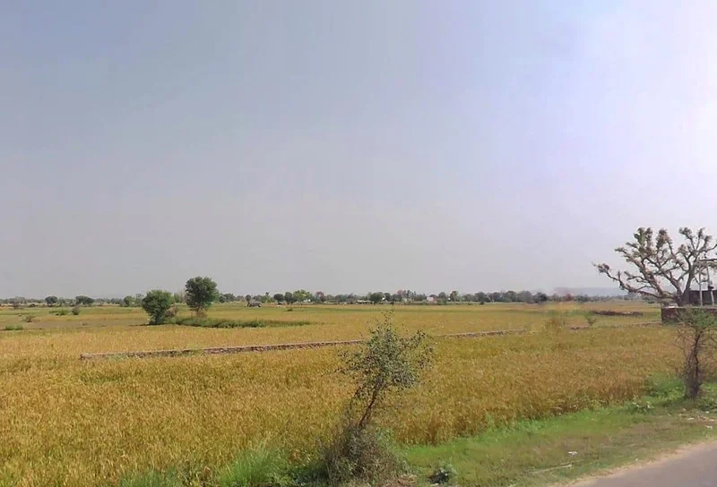 QRFR+8G3, Baghora, Rajasthan 301405, India preview 3