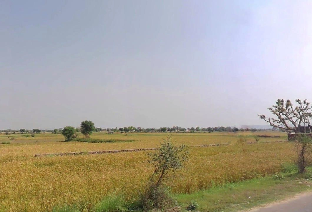 QRFR+8G3, Baghora, Rajasthan 301405, India