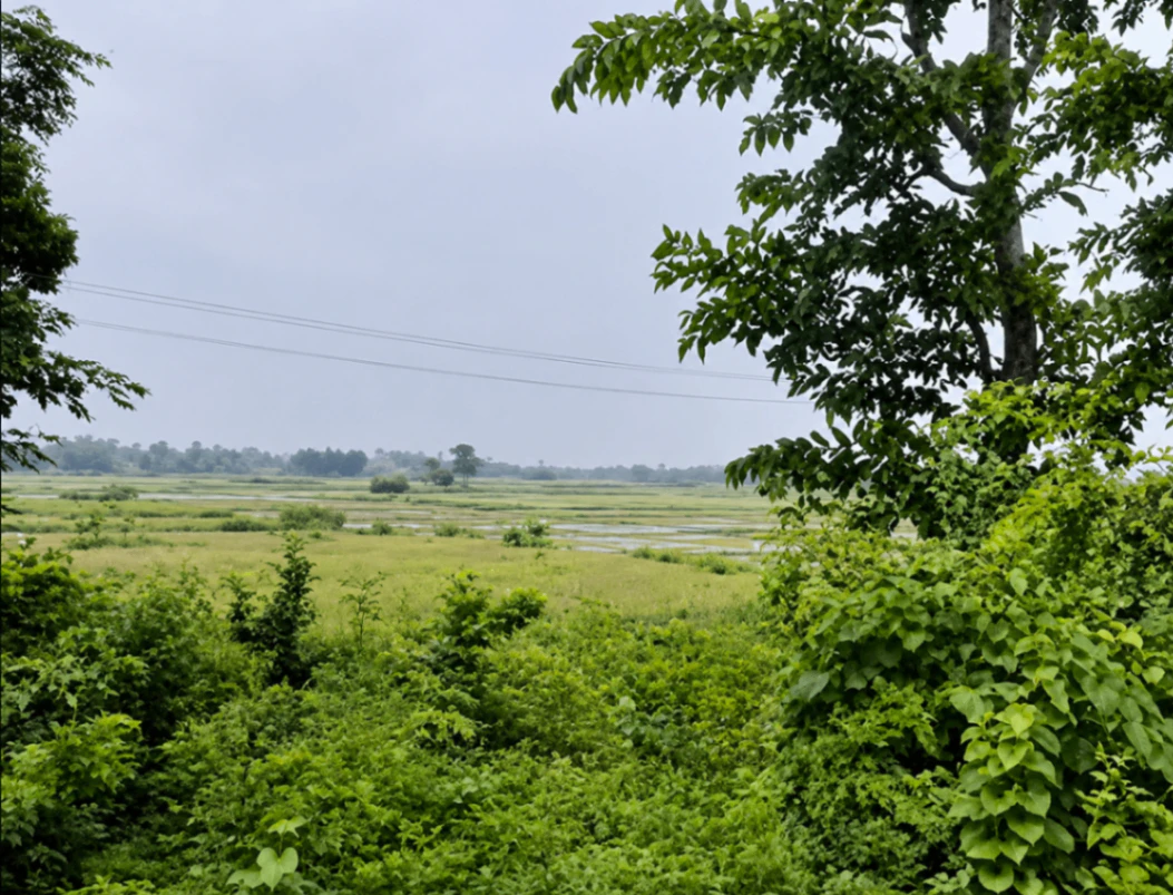 Kasturba Gram, Indore, Madhya Pradesh 452020, India