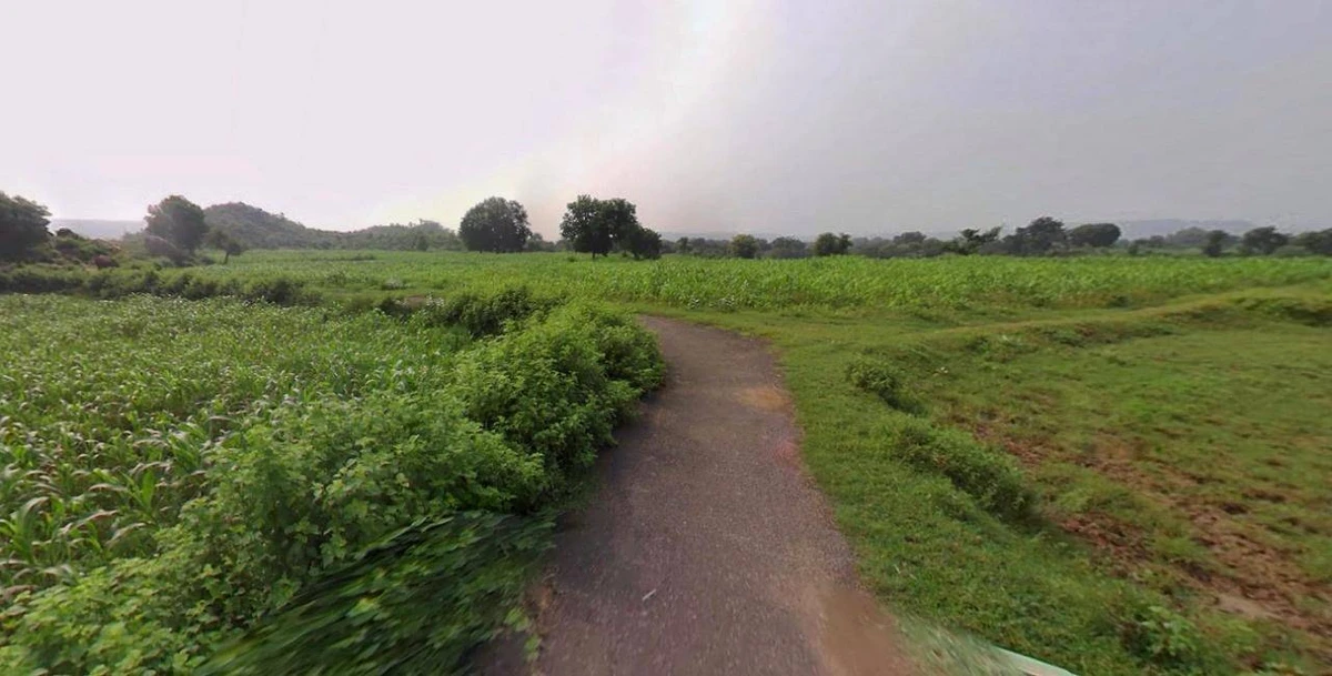 Sector 97, Noida, Uttar Pradesh 201304, India