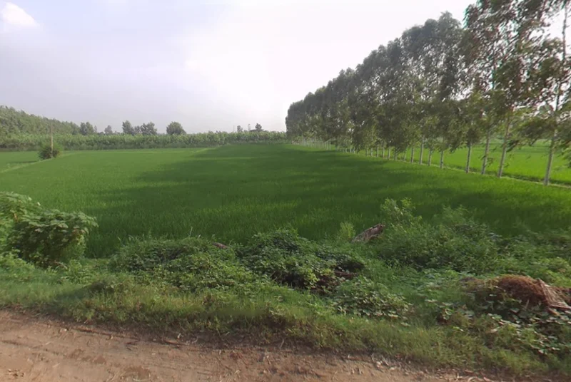 Jagadhri, Haryana, India preview 3