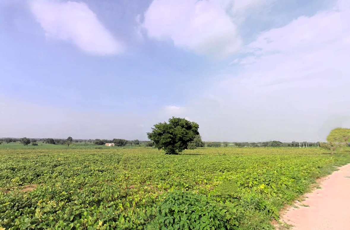 Siwani, Haryana 127046, India