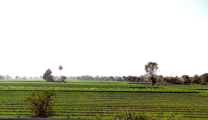 JPQH+P9C, Bagoda, Madhya Pradesh, India preview 2