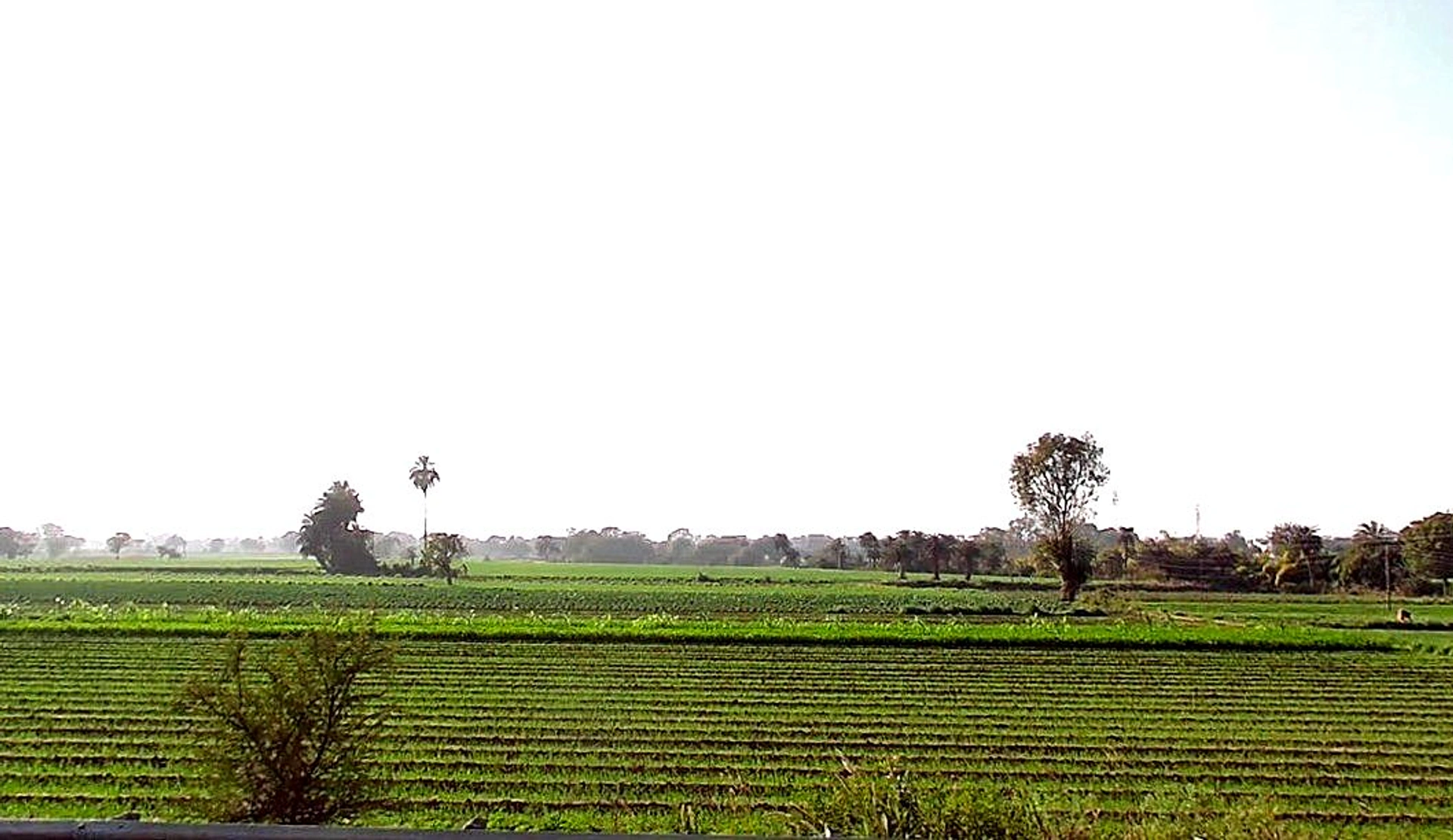 JPQH+P9C, Bagoda, Madhya Pradesh, India