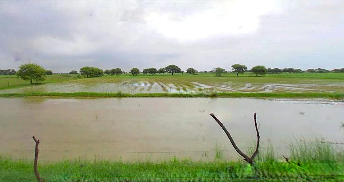 Khachrod, Madhya Pradesh 456224, India