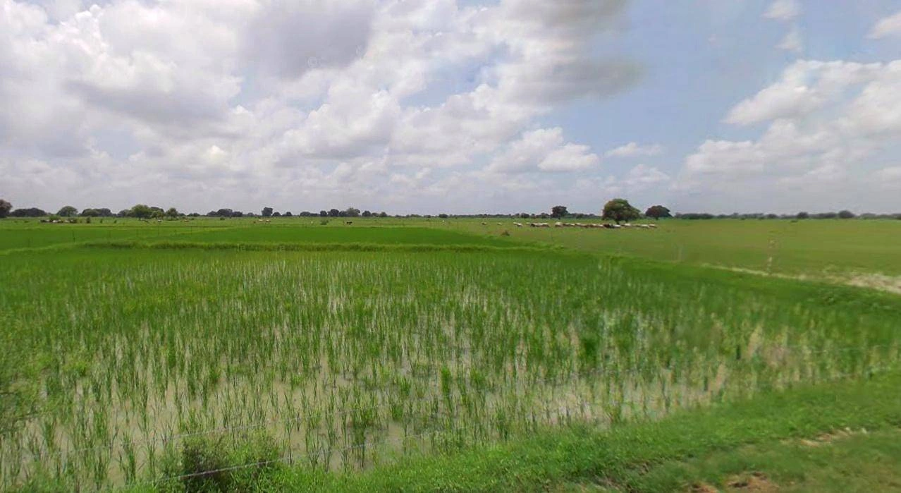 Haridwar, Uttarakhand, India