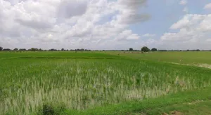 Haridwar, Uttarakhand, India preview 3