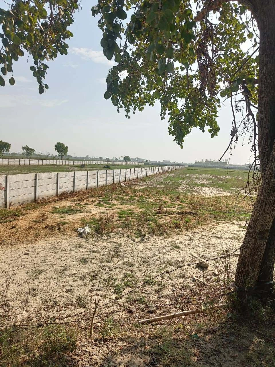 Gauhari, Uttar Pradesh 281401, India