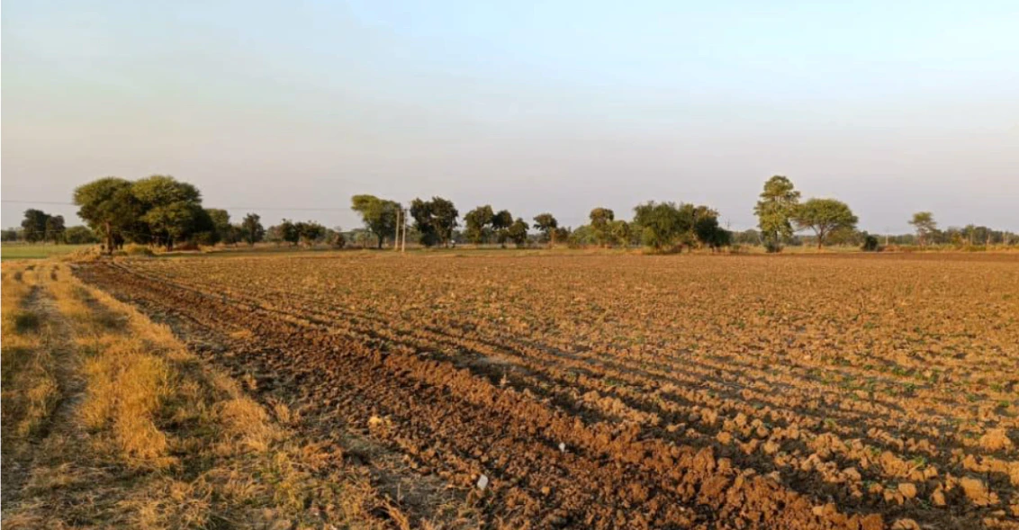 Patehara Sontir, Sidhi, Madhya Pradesh, India