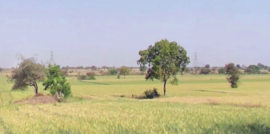 Sulgaon, Madhya Pradesh 450551, India