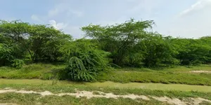 Mohanlalganj, Uttar Pradesh 226301, India preview 3