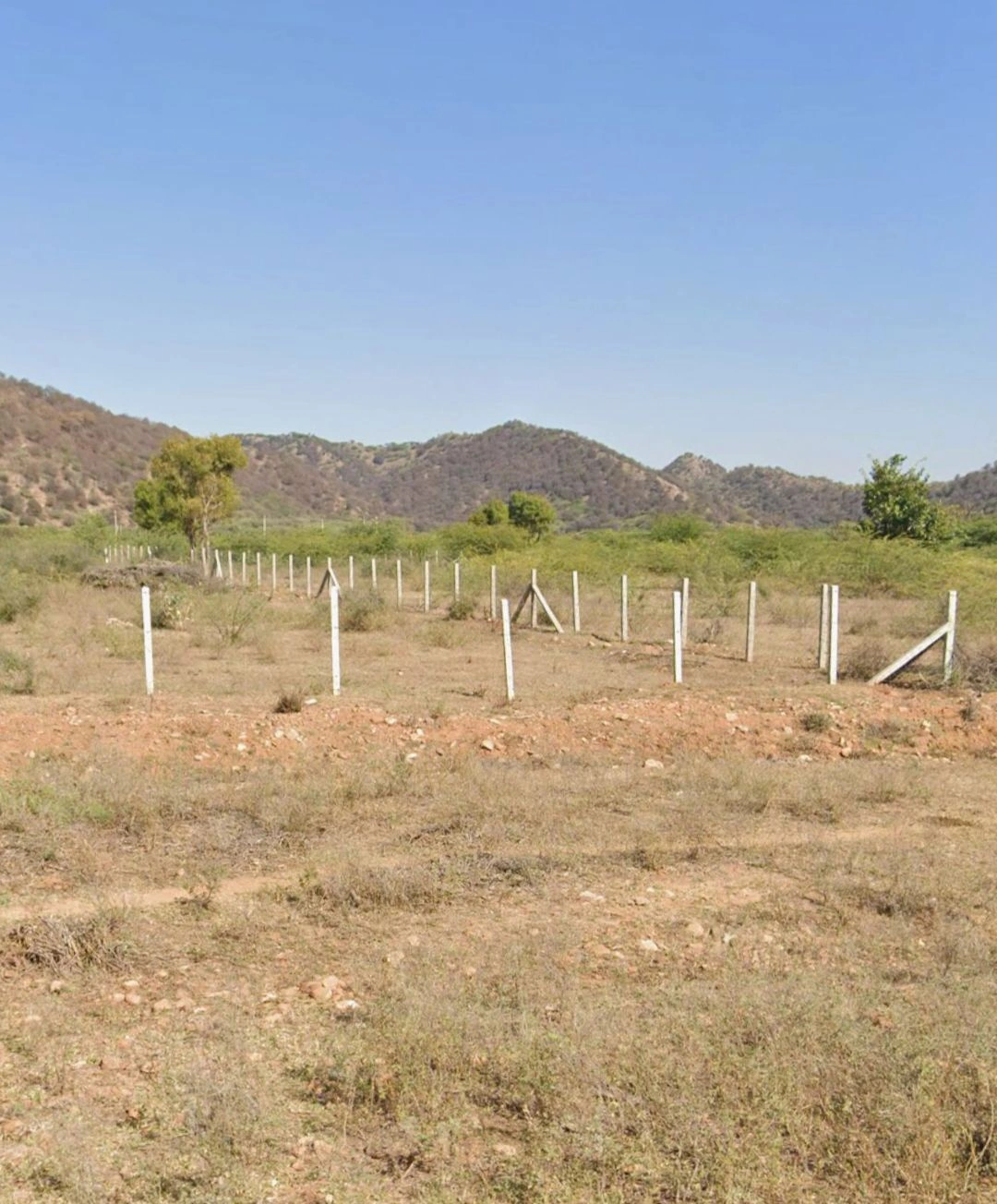 Chachiyawas, Ajmer, Rajasthan 305023, India